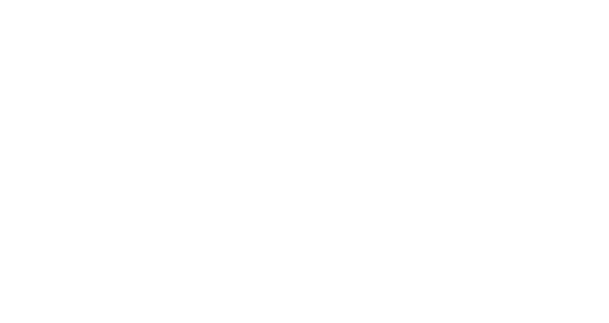 Absolute Merit Roofing